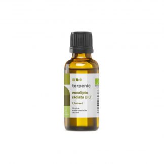 Ätherisches Öl Eukalyptus